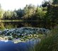 Auberge de la Cholotte - Gallery - picture 
