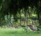 Auberge de la Cholotte - Gallery - picture 