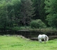 Auberge de la Cholotte - Gallery - picture 