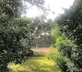 Bel Arbre - Gallery - picture 