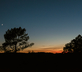 Bel Arbre - Gallery - picture 