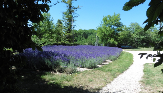 La Grange - Gallery