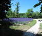 La Grange - Gallery - picture 