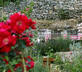 Le Malbec - Gallery - picture 
