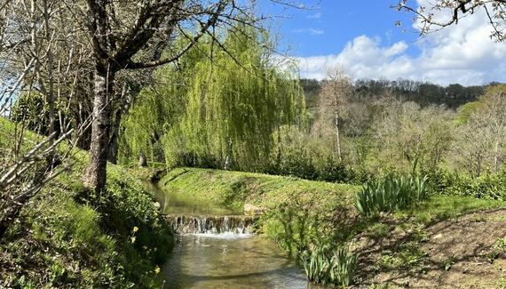 Moulin de Malecoste - Blanc - Gallery