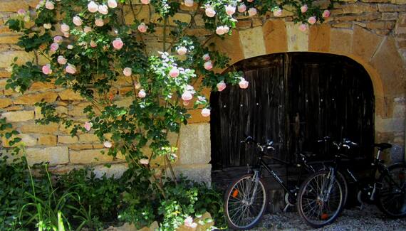 Moulin de Malecoste - Blanc - Gallery