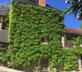 Moulin de Malecoste - Rouge - Gallery - picture 