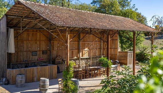 Les Mirabelles - Gallery