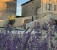 Chateau d'Amarens - Gallery - picture 
