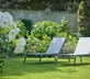 Le Petit Matin - Gallery - picture 