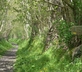 Les Rochers - Gallery - picture 