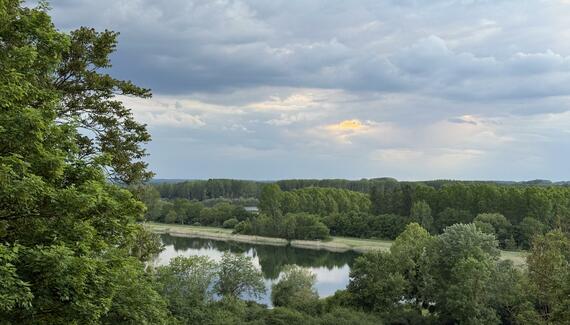 Domaine Le Parc - Gallery