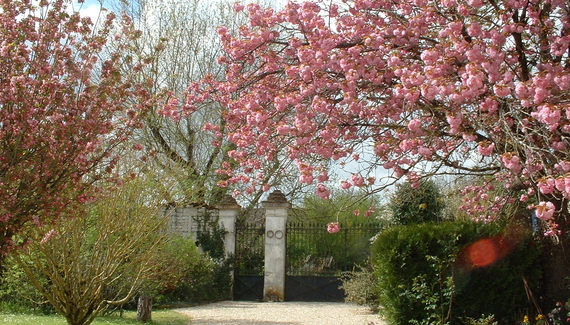 La Rose des Vents - Manor Cottage - Gallery