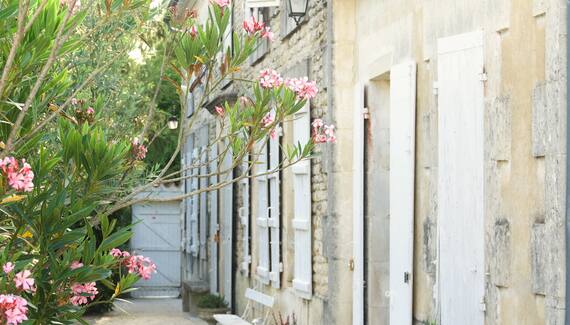 Maison Flora - Gallery