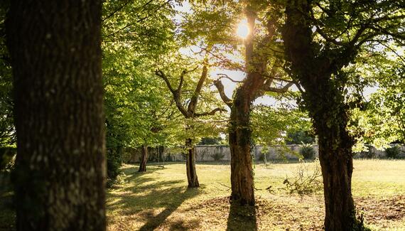 Le Logis du Paradis - Gallery