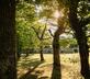 Le Logis du Paradis - Gallery - picture 