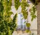 Maison des Ifs - Le Manoir - Gallery - picture 