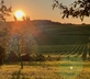 Relais de Saint-Preuil - Gallery - picture 