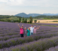 La Barule - Gallery - picture 