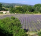 Le Mas de La Baou - Gallery - picture 