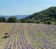 Le Vieil Aiglun B&B - Gallery - picture 