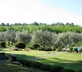 La Bergerie de l’Aspe - Gallery - picture 