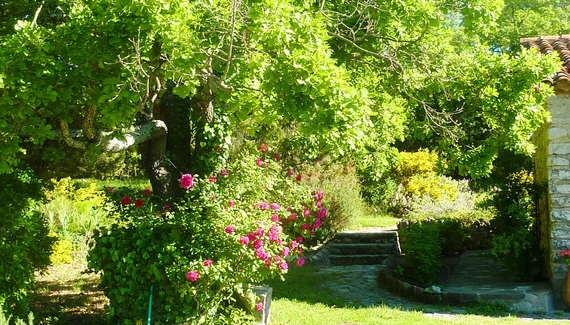 La Bergerie de l’Aspe - Gallery