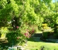 La Bergerie de l’Aspe - Gallery - picture 
