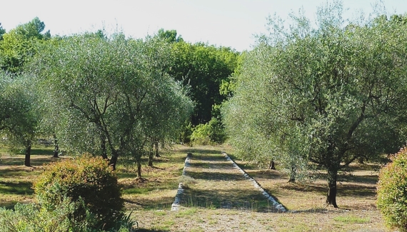 La Bergerie de l’Aspe - Gallery
