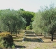 La Bergerie de l’Aspe - Gallery - picture 