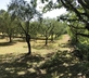 La Bergerie de l’Aspe - Gallery - picture 