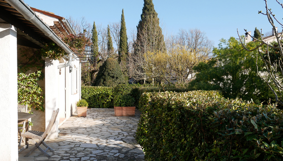 Mimosa Cottage - Gallery