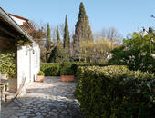 Mimosa Cottage