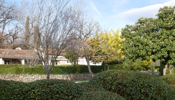 Mimosa Cottage - Gallery