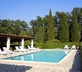 Mimosa Cottage - Gallery - picture 