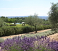 La Bastide des Amandiers - L'Appart - Gallery - picture 