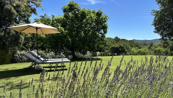 La Bastide des Amandiers - L'Atelier - Gallery