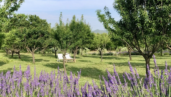 La Bastide des Amandiers - L'Atelier - Gallery