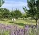 La Bastide des Amandiers - L'Atelier - Gallery - picture 