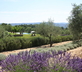 La Bastide des Amandiers – Le Cabanon - Gallery - picture 