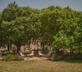 La Roucoulade - Gallery - picture 