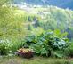 Maison Cimes - Gallery - picture 