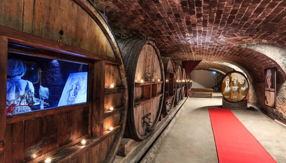 Château de Saint Martin - Gallery