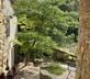 Mas Tihou - Le Mazet - Gallery - picture 