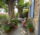Mounto Davalo - Gallery - picture 