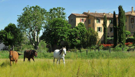 Une Campagne en Provence - Gallery