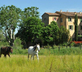 Une Campagne en Provence - Gallery - picture 