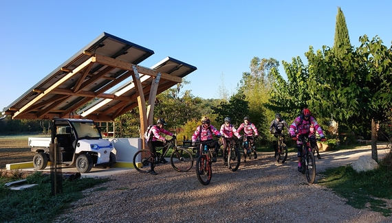 Une Campagne en Provence - Gallery