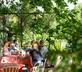 Une Campagne en Provence - Gallery - picture 