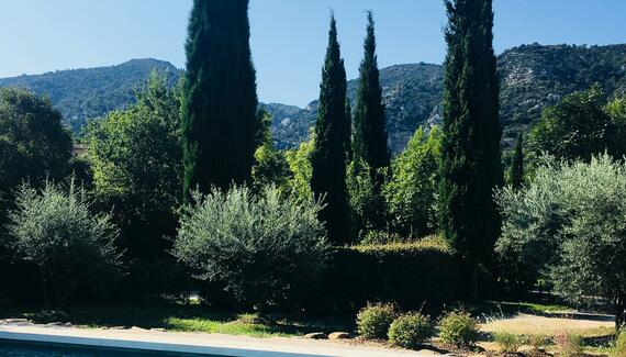 Le Champ des Oliviers - Amande Douce - Gallery